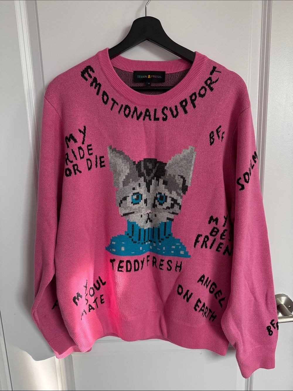 Teddy Fresh Pink Cat Graphic Knit Sweater